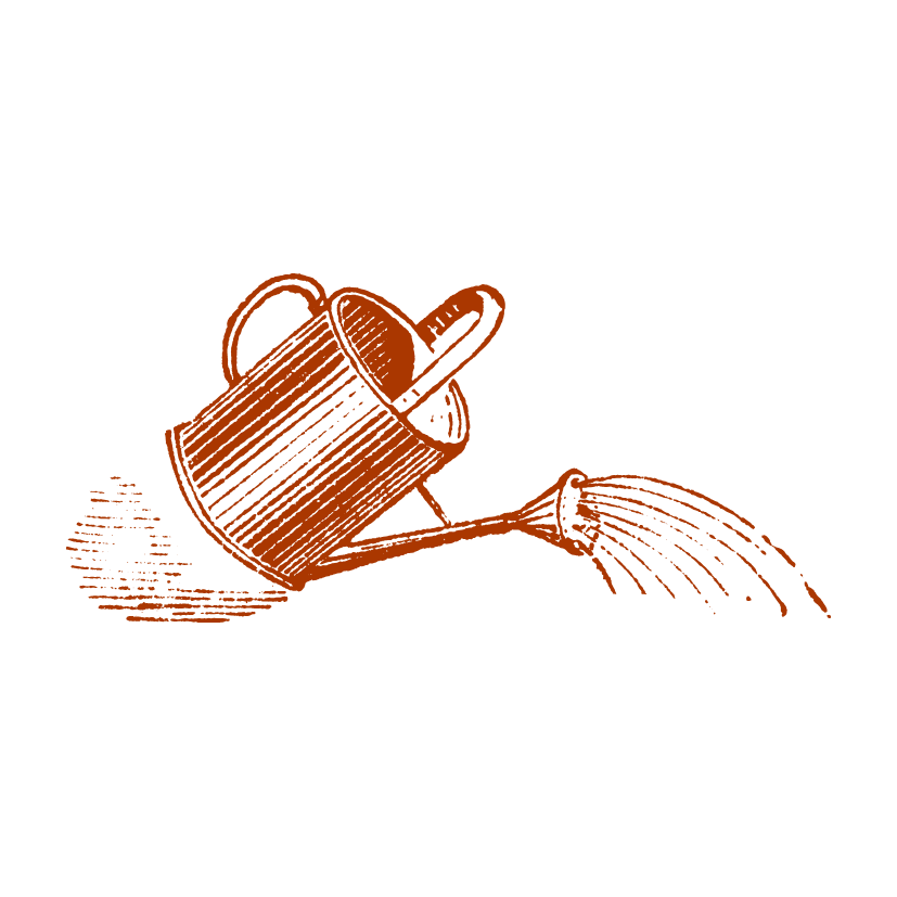 Conciergerie Maison et Réception