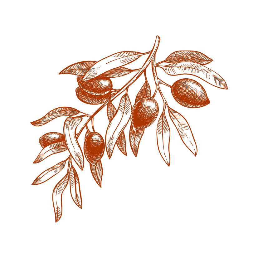 Olivier Maison et Réception